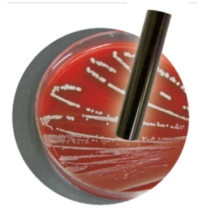 pH سنج مواد غذایی AZ8695